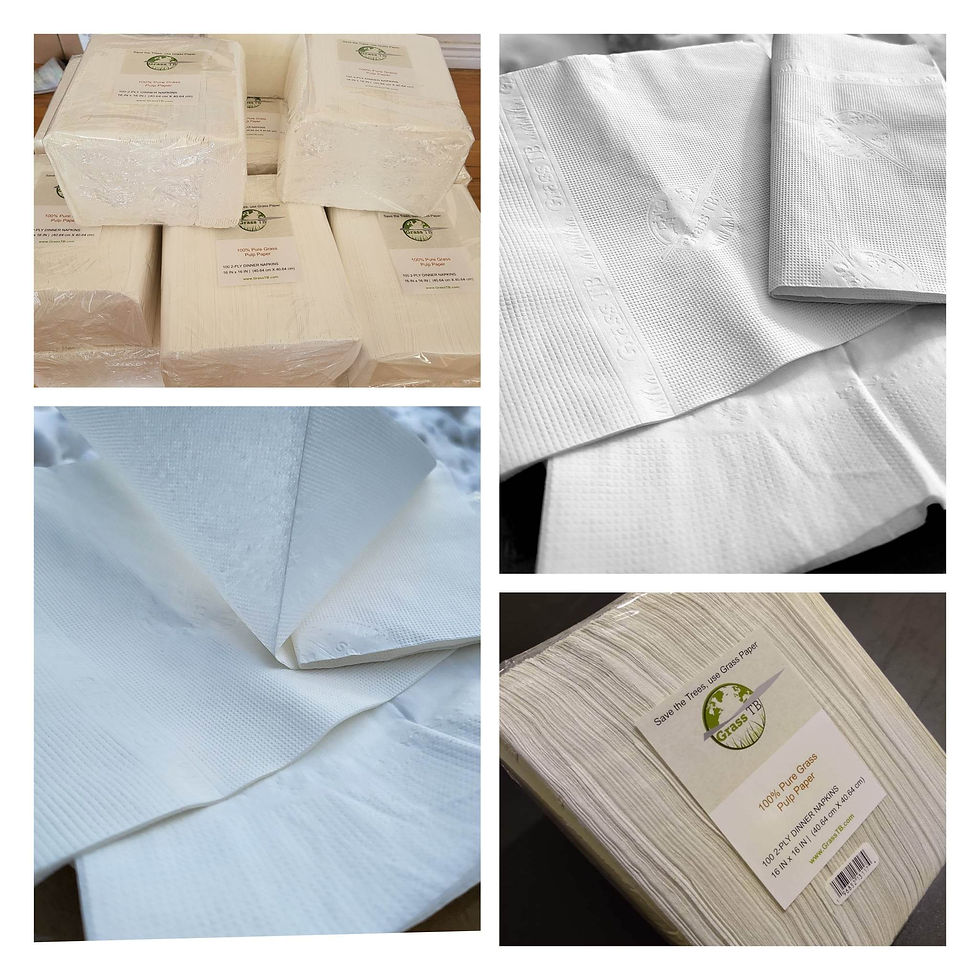 Thumbnail: 100 2-ply Dinner Napkins