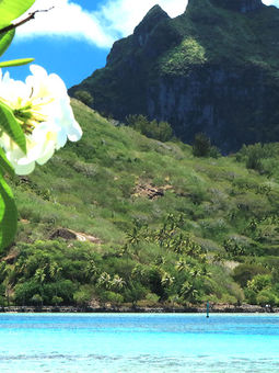 Sofitel Bora Bora

"Se détendre au-dessus de l'eau
Un hôtel de rêve dans un cadre exquis. Nous avons réservé un bungalow sur l'eau et c'était en tout cas la bonne décision. Transfert gratuit depuis l'hôtel précédent et vers l'hôtel suivant. Des réceptionnistes très prévenants qui nous ont aidés à faire des réservations pour les restaurants de l'île principale. Avec les kayaks vers le jardin corallien à l'arrière de l'île. Très bien pour faire du snorkeling. Nous n'avons pas utilisé le spa ni le restaurant pour le dîner. Le petit-déjeuner était frais et tout à fait suffisant. Plats à base d'œufs, poisson, croissants, fromage, etc. vraiment à recommander sans réserve."