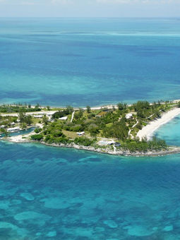 Little Whale Cay Bahamas

"Au cœur des Bahamas se trouve un petit Eden : des eaux cristallines entourent des plages de sable fin et blanc, des flamants roses et des paons s'ébattent dans les jardins subtropicaux, des papillons virevoltent autour des fleurs d'hibiscus - Little Whale Cay correspond à l'idée que l'on se fait du paradis. Ce havre de paix, où 12 hôtes au maximum peuvent se détendre, est accessible directement par vol charter depuis la Floride et en seulement 20 minutes de vol depuis Nassau. Vous atterrissez sur la piste d'atterrissage de l'île. Cette île particulière dispose également d'une jetée pour les hydravions et d'un port privé avec un phare. Little Whale Cay offre les services d'un hôtel de première classe et invite à une réunion de famille ou à une cérémonie de mariage. Les célébrations et les cérémonies peuvent avoir lieu dans la chapelle romantique de l'île...".
