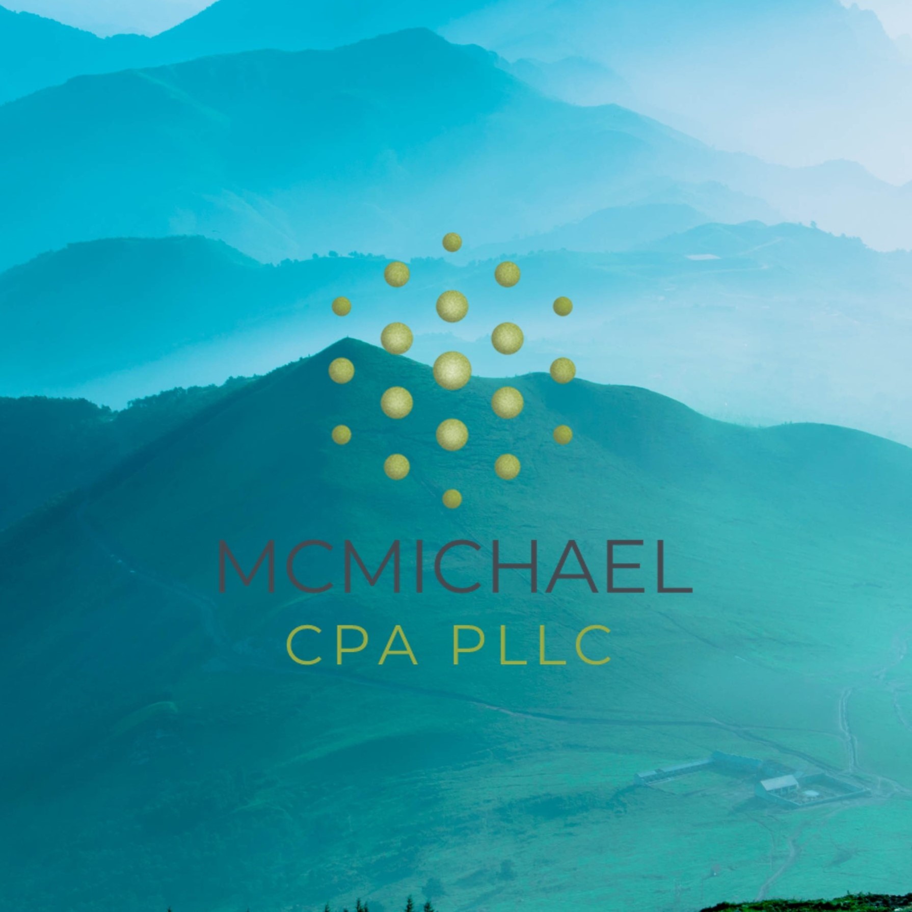 Grant W McMichael CPA PLLC