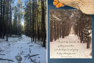Embracing the Fierce Beauty of the Wind, Estes Park, CO