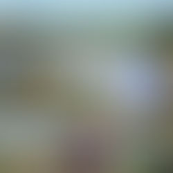 Santa Barbara and Pismo Beach, CA