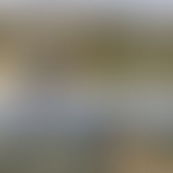 The PCT and Julian, CA