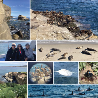 La Jolla and Lake Forest, CA