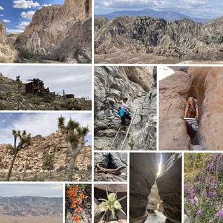 Joshua Tree National Park, California (Part 2)