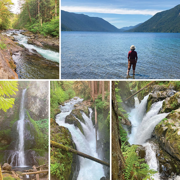 Olympic National Park