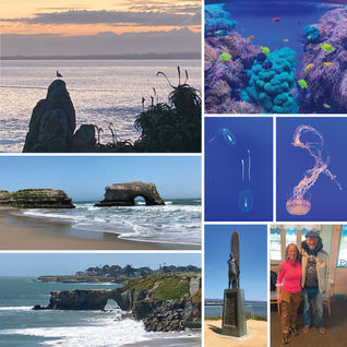 Pacific Grove, Monterey, and Santa Cruz, CA