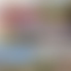 The Lost Dutchman State Park and Saguaro National Park, Arizona