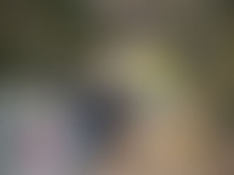 子ども達が企画した10kmウォーク