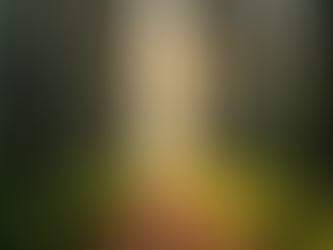 Energy Protection Strategies for Empaths and Highly Sensitive Individuals