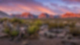 Area-Attractions-Resized-2-5.jpg