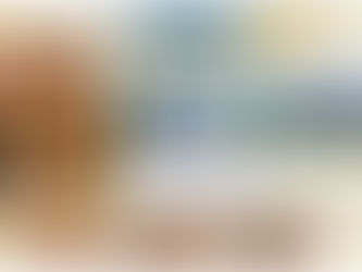 新着　純和風住宅　1,460坪広さ