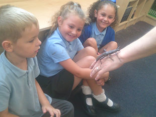 Year 1’s Amazing Visit from Bugs N Stuff! 🐞🕷️