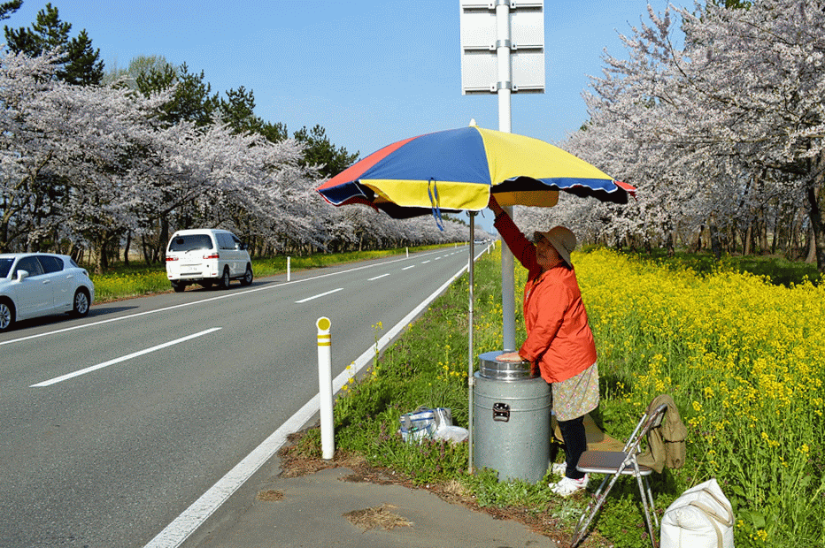DSC_0400-ANIMATION.gif