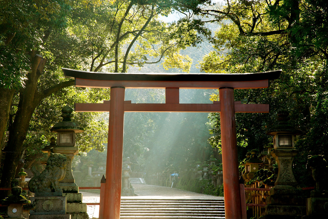 神社の鳥居