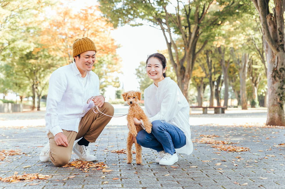 犬と家族