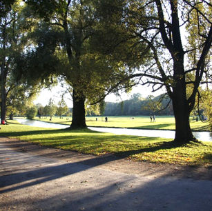 Green Cities