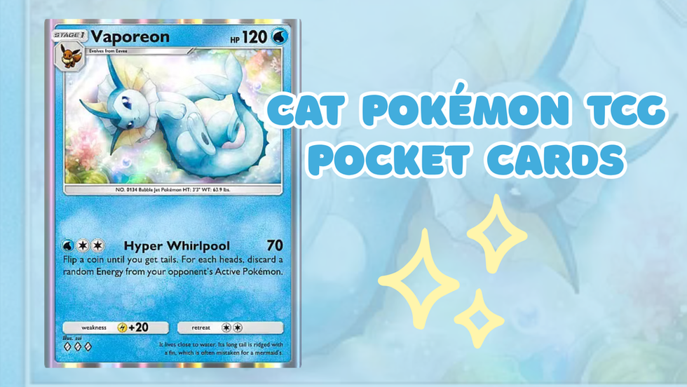 Eevee grove just Dropped, Here Are All the Cat Cards in Pokémon TCG Pocket