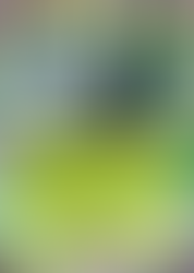 Meowscarada ex, Paldean Wonders