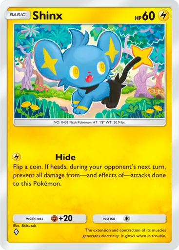 Shinx, Space Time Smackdown