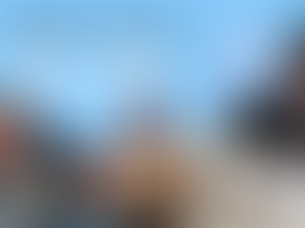 Stone Cold Steve Austin Cat Dad