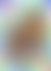 Shiny Entei ex, Paldean Wonders