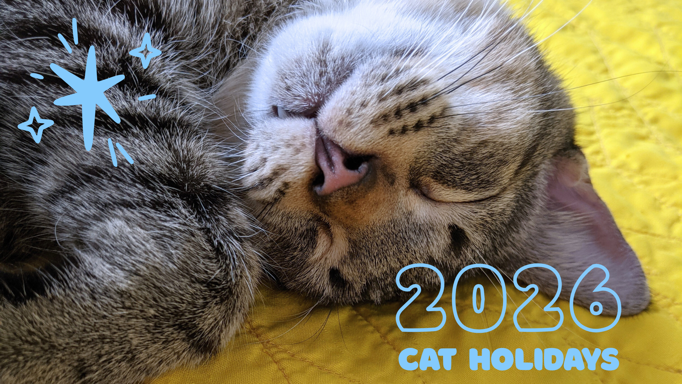 2026 Cat Holidays 4ac33e 