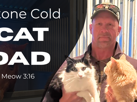 Cat Dad Steve Austin Is One Of My Favorite Versions Of Stone Cold
