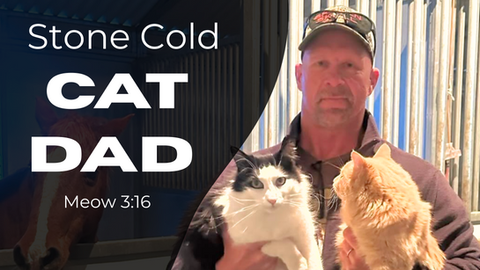 Cat Dad Steve Austin Is One Of My Favorite Versions Of Stone Cold