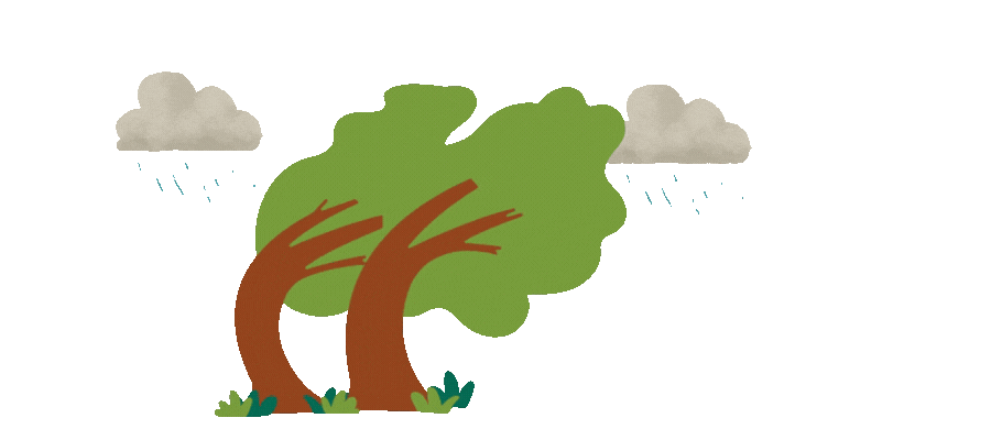 nubes con lluvia y arboles doblados por el viento