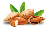 SOLO-ALMENDRAS.png