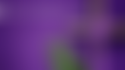 Fourth Sunday of Lent ~ 15th March 2026