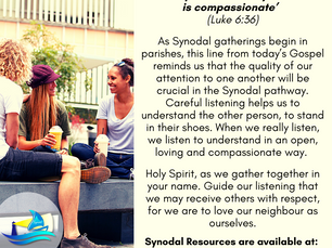 Diocesan Synodal Pathway