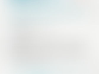 Partnership between Dublin City Council and ALONE Ireland. 