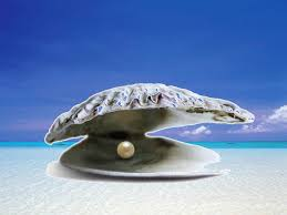 Parish Newsletter 30th July 2023 