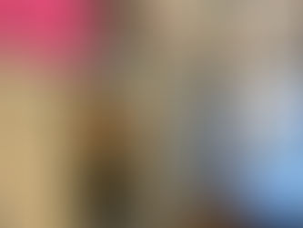 Lost and Found: A Second Life for Things Left in Books