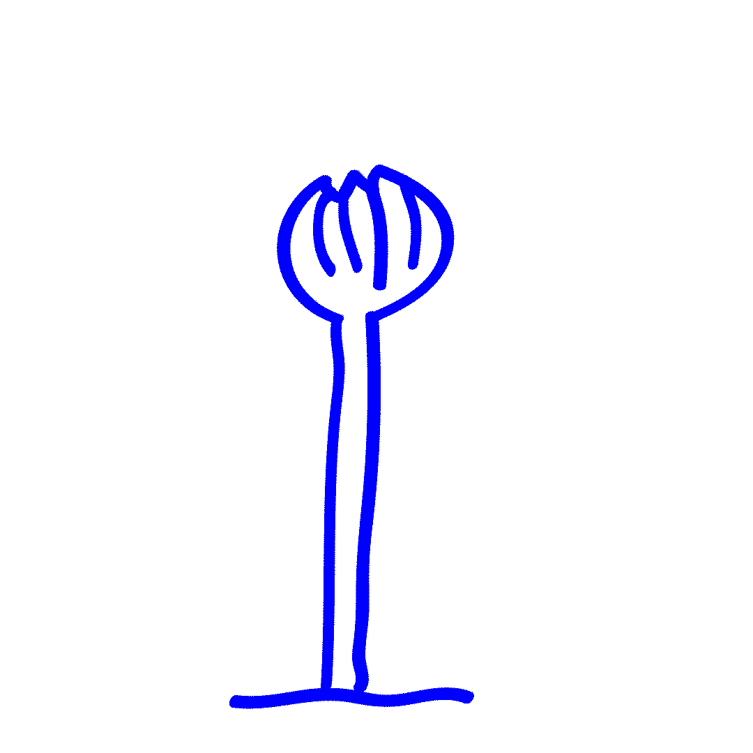 Comp 1.gif