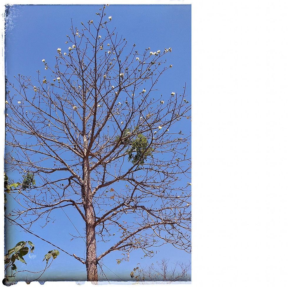 ĐỔI MỚI ĐỂ TỐT HƠN