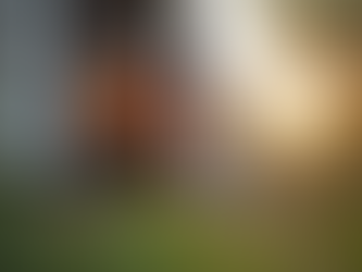 Comprehensive Wildlife Control Services for Safety