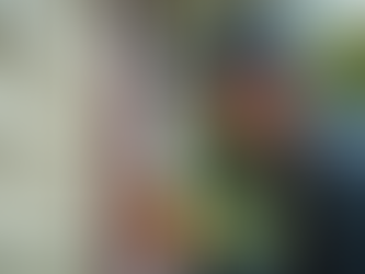 treating for pests outdoors