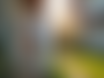 Affordable and Effective Pest Control Services