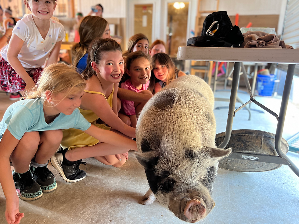 Wild Curiosity -- Elementary Summer Camp