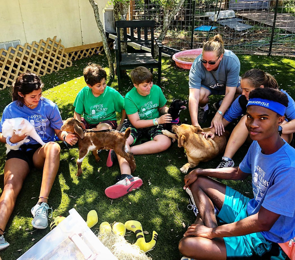 Safe in Austin Elementary Summer Camp