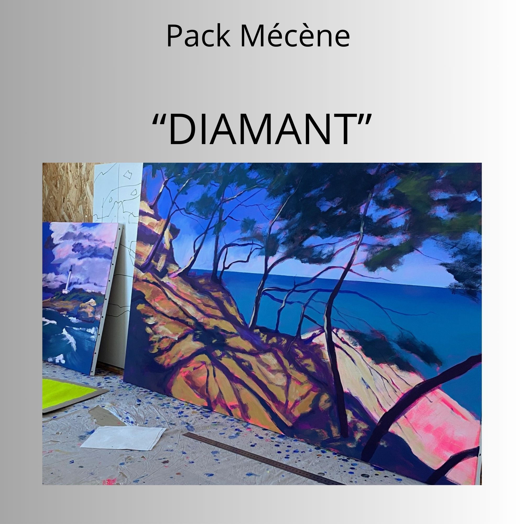 Pack Mécène Diamant
