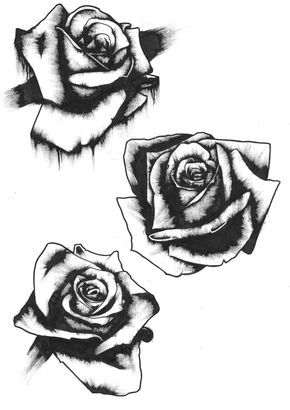 rose.jpeg