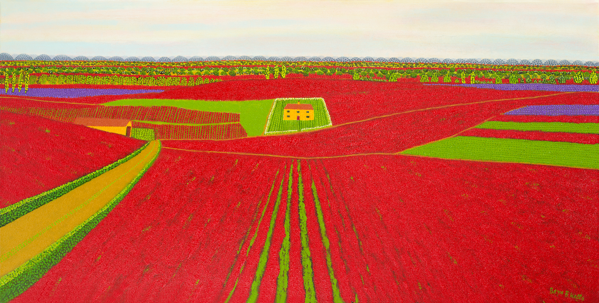 Poppy Fields