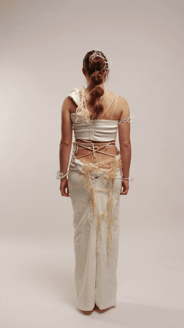 Untitled design (3).gif