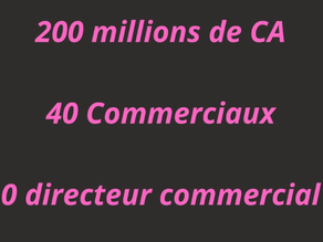 peut-on piloter une force de vente sans directeur commercial ?
