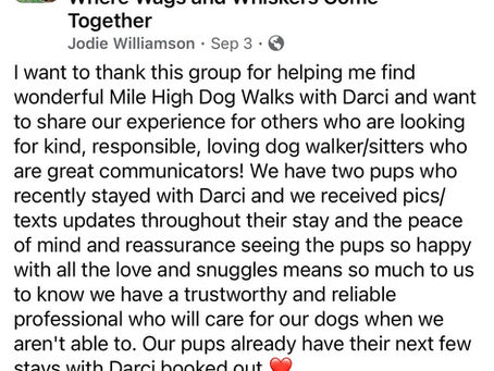 Book Your Dog’s Holiday Staycation with Mile High Dog Walks with Darci!