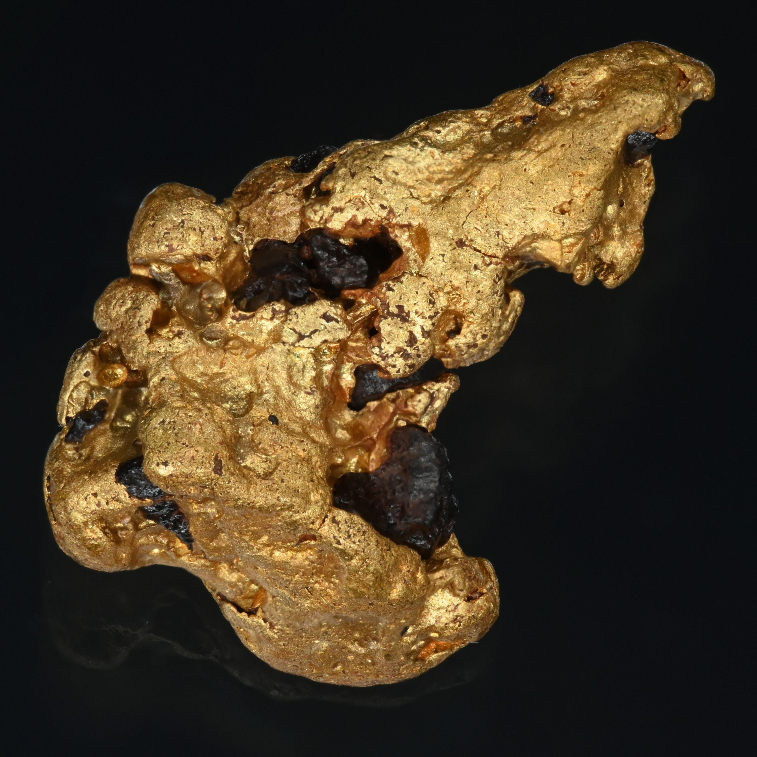 Goldnugget, nördl. Kalgoolie-Boulder, WA, Australien